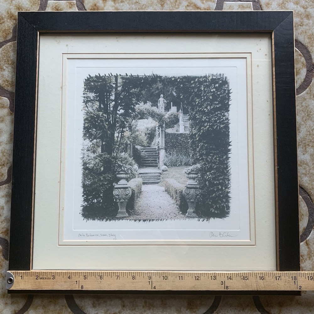 Framed Picture Orto Botanico Romantic Gardens in Siena Italy by Allan Blaustein - Picture 4 of 10